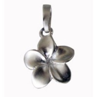 FrangiPangi Hänger, Silber FrangiPangi Hänger, Silber